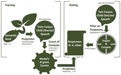 The Acquisition of Noun and Verb Categories by Bootstrapping From a Few Known Words: A Computational Model